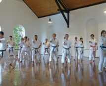 Grube Karatetraining