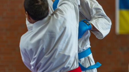 Karate Verein Köln Nippes – Kampfsport – Selbstverteidigung – Fitness – Kampfkunst 562 Ju Kengo e.V. - Karate in Köln - Kampfsport seit 1982 Karate Verein Köln Nippes – Kampfsport – Selbstverteidigung – Fitness – Kampfkunst