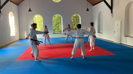 Karate Verein Köln Nippes – Kampfsport – Selbstverteidigung – Fitness – Kampfkunst 464 Ju Kengo e.V. - Karate in Köln - Kampfsport seit 1982 Karate Verein Köln Nippes – Kampfsport – Selbstverteidigung – Fitness – Kampfkunst