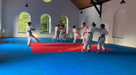 Karate Verein Köln Nippes – Kampfsport – Selbstverteidigung – Fitness – Kampfkunst 465 Ju Kengo e.V. - Karate in Köln - Kampfsport seit 1982 Karate Verein Köln Nippes – Kampfsport – Selbstverteidigung – Fitness – Kampfkunst