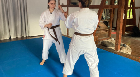 Karate Verein Köln Nippes – Kampfsport – Selbstverteidigung – Fitness – Kampfkunst 477 Ju Kengo e.V. - Karate in Köln - Kampfsport seit 1982 Karate Verein Köln Nippes – Kampfsport – Selbstverteidigung – Fitness – Kampfkunst