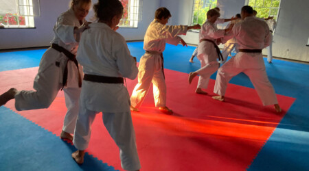 Karate Verein Köln Nippes – Kampfsport – Selbstverteidigung – Fitness – Kampfkunst 484 Ju Kengo e.V. - Karate in Köln - Kampfsport seit 1982 Karate Verein Köln Nippes – Kampfsport – Selbstverteidigung – Fitness – Kampfkunst