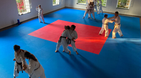 Karate Verein Köln Nippes – Kampfsport – Selbstverteidigung – Fitness – Kampfkunst 497 Ju Kengo e.V. - Karate in Köln - Kampfsport seit 1982 Karate Verein Köln Nippes – Kampfsport – Selbstverteidigung – Fitness – Kampfkunst