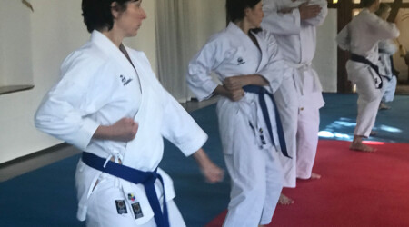 Karate Verein Köln Nippes – Kampfsport – Selbstverteidigung – Fitness – Kampfkunst 433 Ju Kengo e.V. - Karate in Köln - Kampfsport seit 1982 Karate Verein Köln Nippes – Kampfsport – Selbstverteidigung – Fitness – Kampfkunst