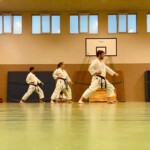 Die Geschichte 13 Ju Kengo e.V. - Karate in Köln - Kampfsport seit 1982 Die Geschichte