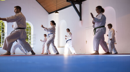 Karate Verein Köln Nippes – Kampfsport – Selbstverteidigung – Fitness – Kampfkunst 348 Ju Kengo e.V. - Karate in Köln - Kampfsport seit 1982 Karate Verein Köln Nippes – Kampfsport – Selbstverteidigung – Fitness – Kampfkunst