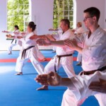 Die Geschichte 3 Anfängerkurs Karate