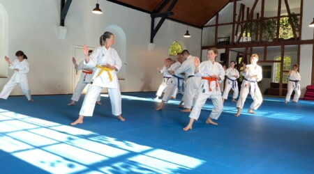 Karate Verein Köln Nippes – Kampfsport – Selbstverteidigung – Fitness – Kampfkunst 232 Ju Kengo e.V. - Karate in Köln - Kampfsport seit 1982 Karate Verein Köln Nippes – Kampfsport – Selbstverteidigung – Fitness – Kampfkunst