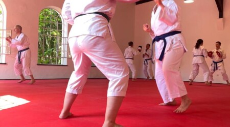 Karate Verein Köln Nippes – Kampfsport – Selbstverteidigung – Fitness – Kampfkunst 222 Ju Kengo e.V. - Karate in Köln - Kampfsport seit 1982 Karate Verein Köln Nippes – Kampfsport – Selbstverteidigung – Fitness – Kampfkunst