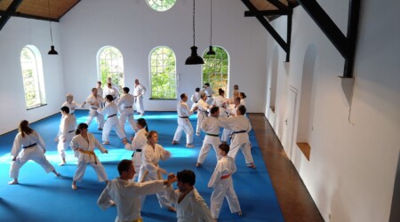 Karate Verein Köln Nippes – Kampfsport – Selbstverteidigung – Fitness – Kampfkunst 111 Ju Kengo e.V. - Karate in Köln - Kampfsport seit 1982 Karate Verein Köln Nippes – Kampfsport – Selbstverteidigung – Fitness – Kampfkunst