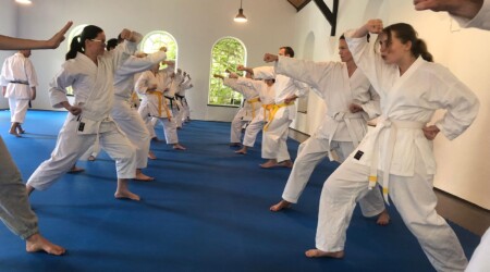 Karate Verein Köln Nippes – Kampfsport – Selbstverteidigung – Fitness – Kampfkunst 119 Ju Kengo e.V. - Karate in Köln - Kampfsport seit 1982 Karate Verein Köln Nippes – Kampfsport – Selbstverteidigung – Fitness – Kampfkunst